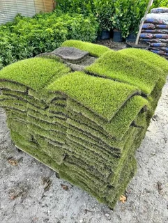 Instant Grass