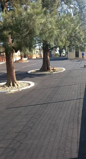 Tar Driveways