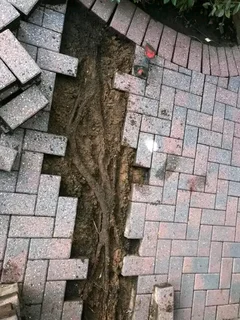 Paving &#64; R60 per Square labour 0813664446