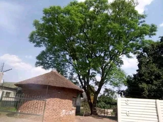 Brits Boomsloping/ Brits Tree Felling