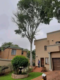 Brits Boomsloping/ Brits Tree Felling