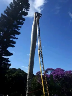 Brits Boomsloping/ Brits Tree Felling