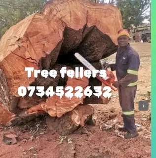 Magaliesburg Tree Felling/ Boomsloping Magaliesburg