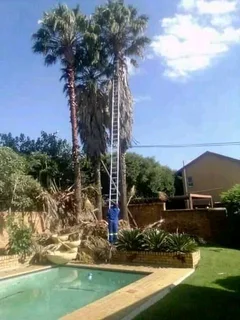 Magaliesburg Tree Felling/ Boomsloping Magaliesburg