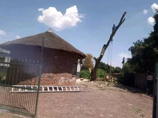 Modimolle Tree Felling/ Boomsloping