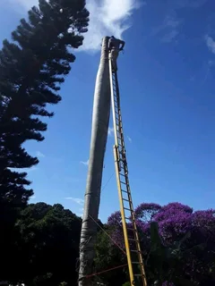 Rustenburg Tree Felling/Rustenburg Boomsloping