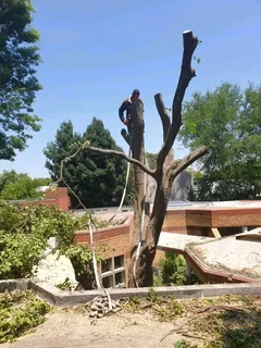 Rustenburg Tree Felling/Rustenburg Boomsloping