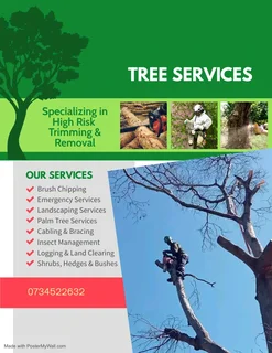 Pretoria tree felling /Pretoria boomsloping