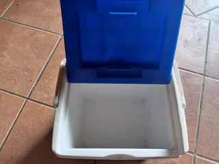 Mini cooler box