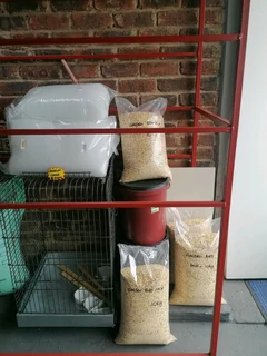 Bird Seed for sale