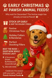 Christmas Pet Accessories – Festive Fun for Your Furry Friends!