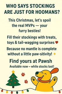 Christmas at Pawsh