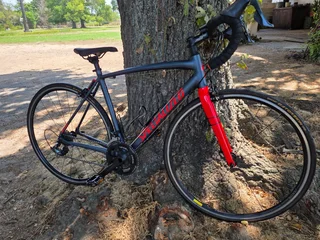 Specialized Allez Men's Bicycle