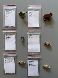 Miscellaneous LEGO Harry Potter animal and creature figurines