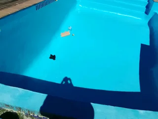 Swimming pool maintenance