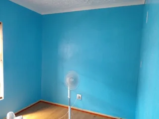 PAINTER - Ad posted by Marshall Roman