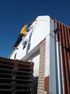 PAINTER - Ad posted by Marshall Roman