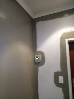 PAINTER - Ad posted by Marshall Roman