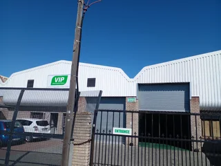 PAINTER - Ad posted by Marshall Roman