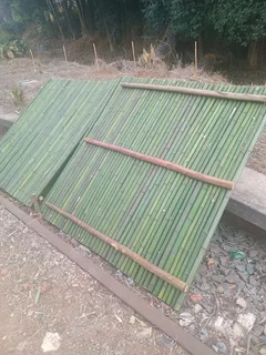 Bamboo fencing
