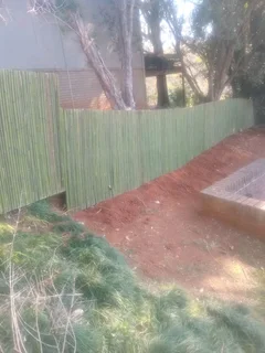 Bamboo fencing