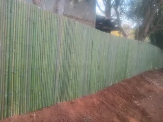 Bamboo fencing
