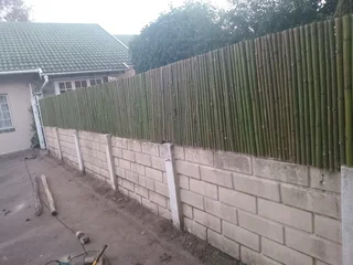 Bamboo fencing