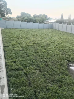 All seasons instant lawn