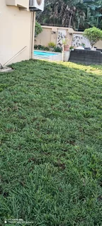 All seasons instant green grass