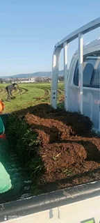 All Seasons Evergreen instant lawn