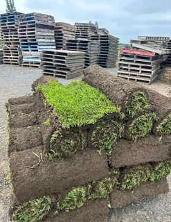 Farm fresh All Seasons Evergreen instant lawn