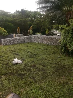 Evergreen all Seasons instant lawn grass