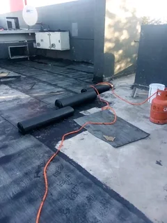 Professional painter