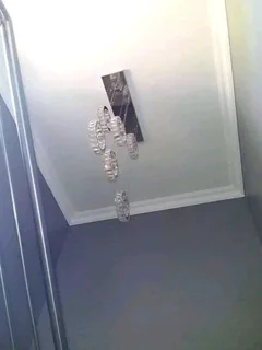 Professional painter