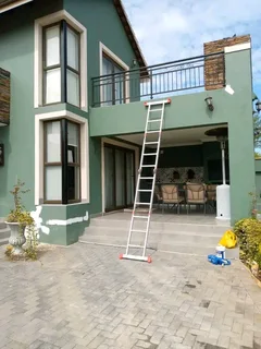 Professional painter