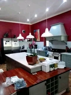 Professional painter