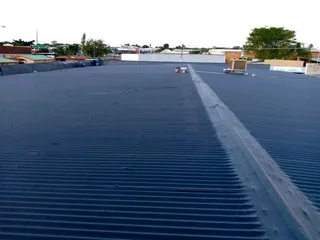 Professional painter