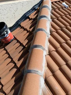 Professional painter