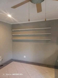 Professional painter