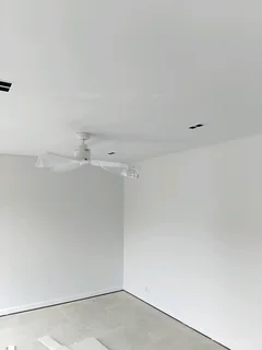 Professional painter