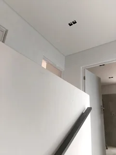 Professional painter