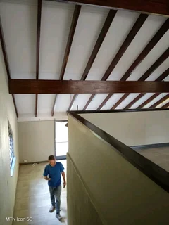 Professional painter