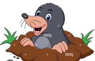 Moles Removal in gardens