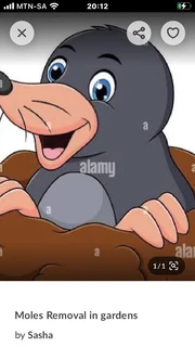 Moles destroying your garden