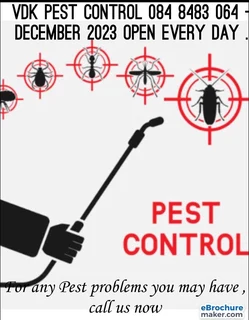 Birds nesting in  your ceilings or roof