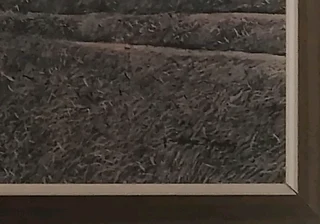 Painting Ruane Manning