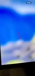 PC Monitor. Telefunken.