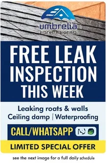 Leaking Roof ? Damp Walls ?