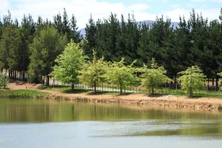 Charming Cottages On Idyllic Apple Farm