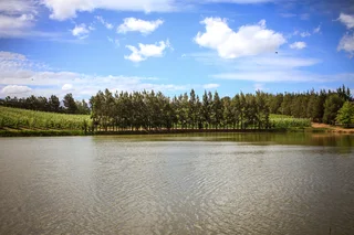 Charming Cottages On Idyllic Apple Farm